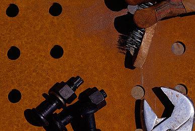 《孤岛惊魂6》新实机视频 玩家与动物互动展示